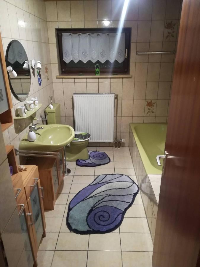 Ferienwohnung Preuss Martinlamitz エクステリア 写真
