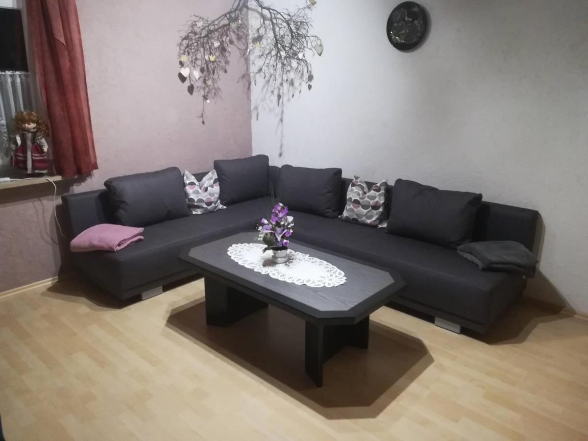 Ferienwohnung Preuss Martinlamitz エクステリア 写真